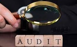 audit preparation services